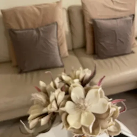 アパート Andromeda Seeblick ロカルノ