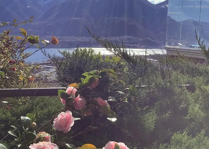 아파트 Andromeda Seeblick 로카르노