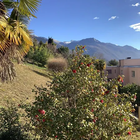 Andromeda Seeblick *