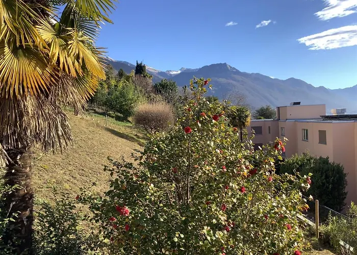 Andromeda Seeblick *